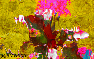 Spluge of Colour
